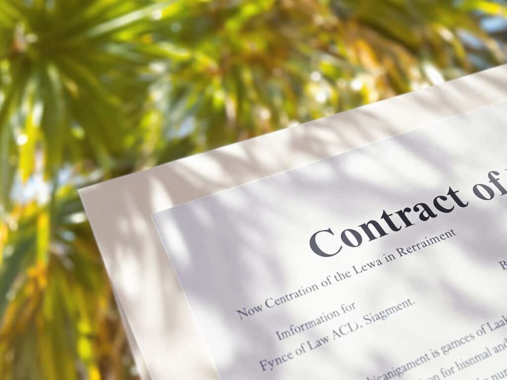 Sunlight on legal document near palm tree