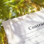 Sunlight on legal document near palm tree