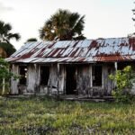 Neglected Florida farmhouse, overgrown fields.